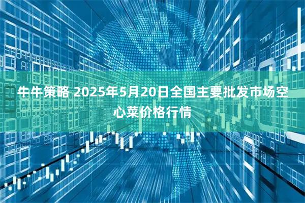 牛牛策略 2025年5月20日全国主要批发市场空心菜价格行情