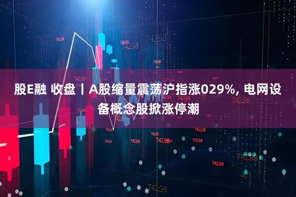 股E融 收盘丨A股缩量震荡沪指涨029%, 电网设备概念股掀涨停潮