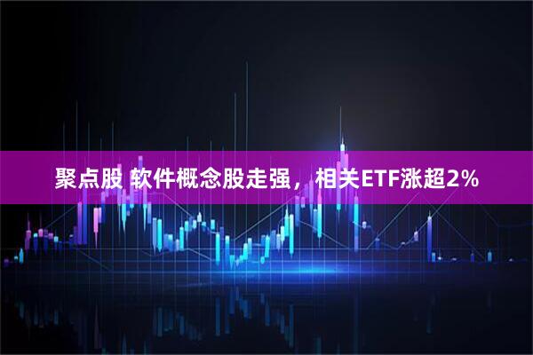 聚点股 软件概念股走强，相关ETF涨超2%